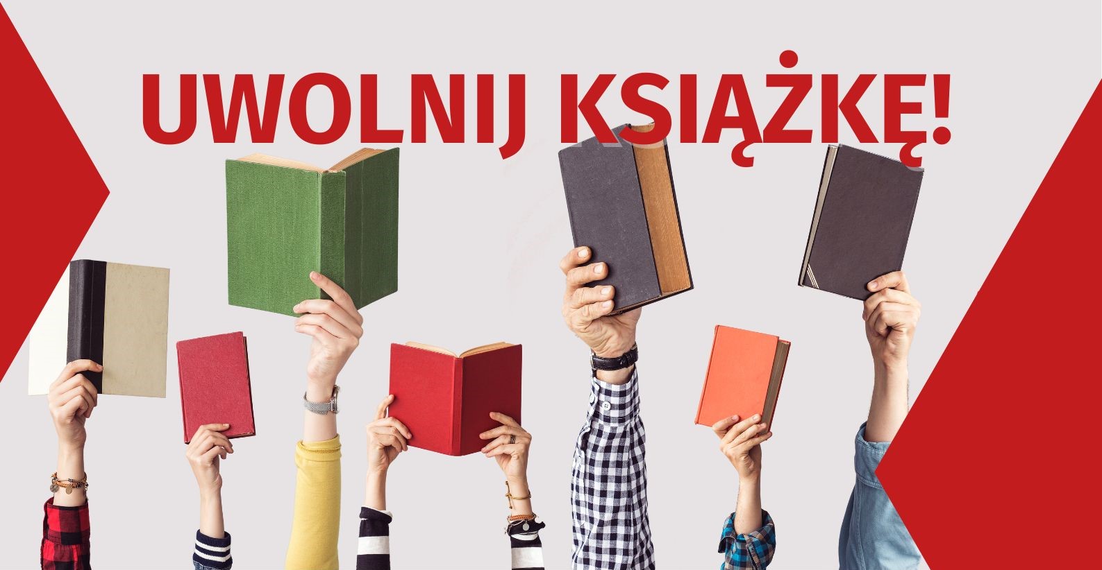 Logo projektu Biblioteka dla wszystkich - różni, równi, ważni